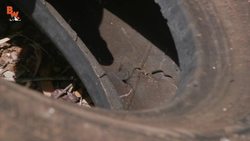 MORE DANGEROUS than a Black Widow?! Instructional Video