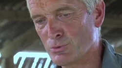 CLEAN : In France dairy farmers faced with drought resort to using winter hay stocks News Clip