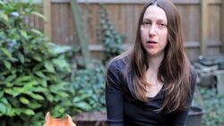 Pros & Cons of the Weimaraner Breed Instructional Video