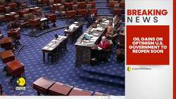 OIL Gains On Optimism: US Government To Reopen News Clip