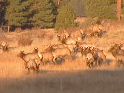 Otoño: recapitulando Instructional Video