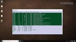 Linux tip: How to use the lsblk command Instructional Video