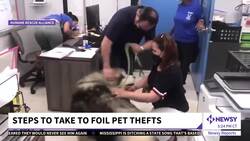 Pet Thefts Could Be Rising: What To Do To Prevent It News Clip