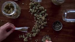 Marijuana and The Risk of Stroke Instructional Video