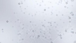 White Clean Hexagon Connected with Node lines Geometric graphic background molecule and communication. Big data complex with compounds. Lines plexus, minimal array. Digital data visualization. Stock Footage