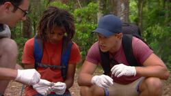 What Can Wildlife Experts Learn by Studying Dingo Poo? Instructional Video