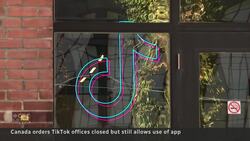 Canada bans TikTok business operations, but Canadians can still use app News Clip