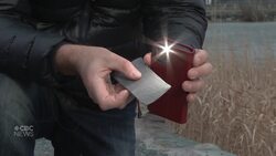 Are you a fossil finder? News Clip