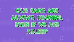 I WONDER - Can We Still Hear In Our Sleep? Instructional Video