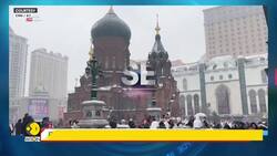 Penguins Taken Out For A Parade In Harbin News Clip