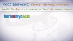 HST-MT - Medical Terminology of the Integumentary System Instructional Video