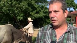 VOICED : A falta de petroleo el buey y el caballo mueven Cuba News Clip