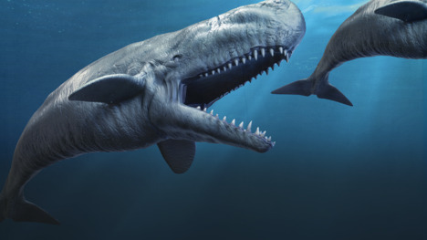 Could This Sperm Whale Eat The Meg?