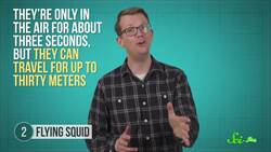 5 Beautifully Complex Ways to Fly Instructional Video