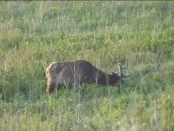 Nutrition: Introduction Instructional Video