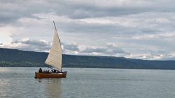 The Versatile Uses and Toxicity of Lead Instructional Video