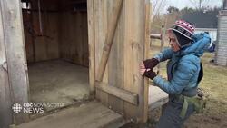 Avian flu forces big cull near Bridgewater News Clip