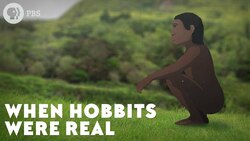 When Hobbits Were Real Instructional Video