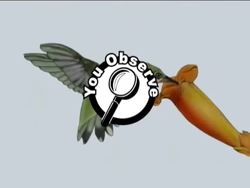 Adaptations to Climate Instructional Video