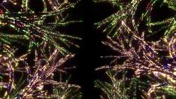 Neon Tree illumination Stock Footage