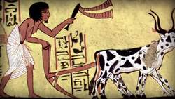 Migrations and Intensification Crash Course Big History 7 Instructional Video