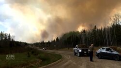 Habitat for endangered caribou threatened by eastern Manitoba wildfire News Clip