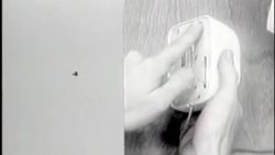 The Development and Importance of the Computer Mouse Instructional Video