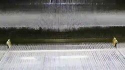 White Threads on a loom in  weaving loom machine in textile factory Stock Footage