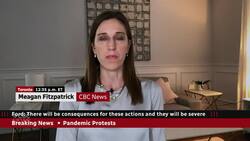 Ontario declares state of emergency in response to convoy protests News Clip