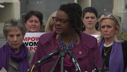 House votes to renew domestic violence law News Clip