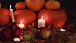 Harvest small and large pumpkins,red apples, yellow flowers Stock Footage