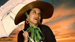 Is the Southern Accent Disappearing? Instructional Video