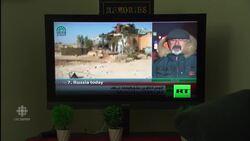 Syrians in Canada hope ceasefire will stick News Clip