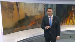 Officials: South Jersey wildfire impacting over 100 buildings, 75% contained News Clip