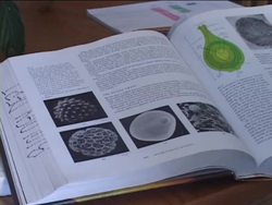 Healthy Nervous and Endocrine Systems: Introduction Instructional Video