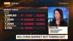 Chinese Stocks: What Should Investors Buy Tactically? News Clip
