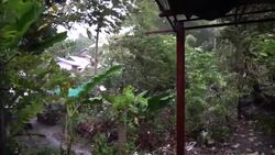 CLEAN : Aftermath of Typhoon Rai in Phillipine's Cebu City News Clip