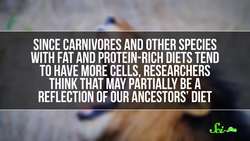 SciShow Quiz Show: A Different Kind of Animal Wonders Instructional Video