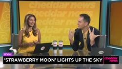 In Case You Missed It: 'Strawberry Moon' Filled the Sky this Weekend News Clip