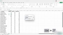 Microsoft Excel 2021365 - Beginner to Advanced - Highlighting Cell Values Instructional Video