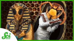 Why Are Honeybees Making Mummies? Instructional Video