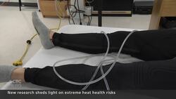 How extreme heat can be a slow-moving, silent killer, Canadian research shows News Clip