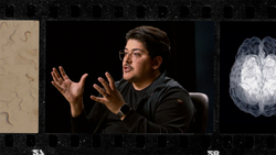 TED: How a worm could save humanity from bad AI | Ramin Hasani Instructional Video