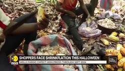 Cocoa Prices More Than Doubled Since Early 2024 | Cocoa Crisis Drives Up US Chocolate Prices News Clip