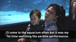 Santa scuba diver wows crowd at Seoul aquarium News Clip