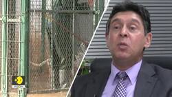 Morocco and India Share the Same Menace of Stray Dogs News Clip