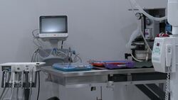 Task Force Animal Hospital offers affordable care to financially vulnerable pet owners News Clip