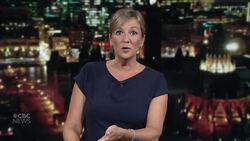 Ontario to announce vaccine passport system, sources say News Clip