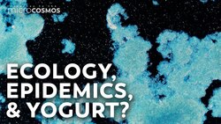 The Cryptic Origins of Yogurt Instructional Video