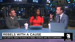 Rebels With a Cause News Clip